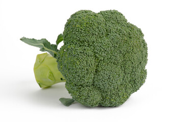 Broccoli on a white background