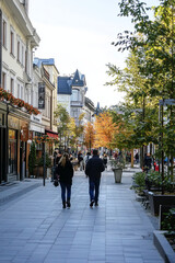 Obraz premium Pedestrian zone in an urban center