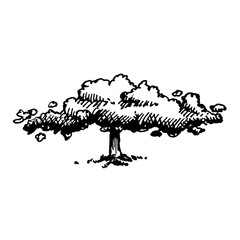 Tree line art ink hand made