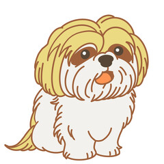 Shih Tzu