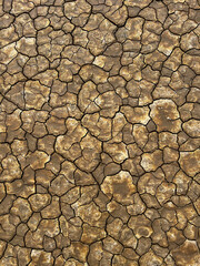 Cracked Earth In The Desert