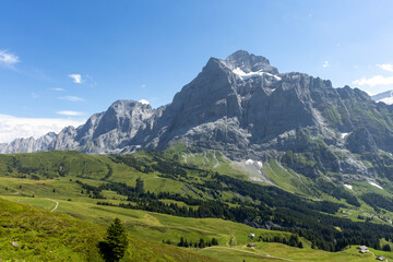 Swiss alpine landscape, Wetterhorn mountain with green valley below