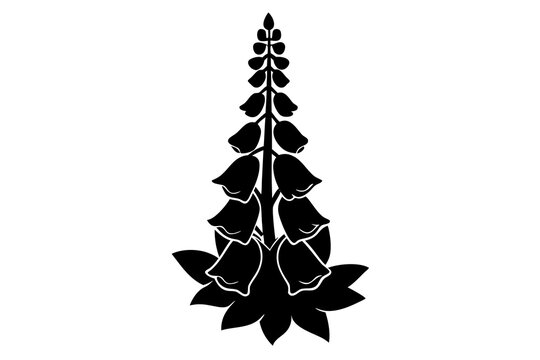 black foxglove flower silhouette on white clip art preview