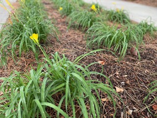 Being one with nature on a chilly, peaceful morning