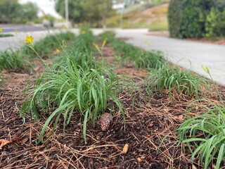 Being one with nature on a chilly, peaceful morning