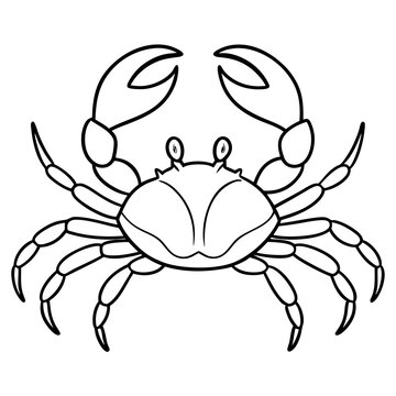 recommend clip art: Crab with extended pincers and a sturdy, shell-like body line art