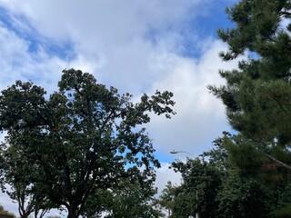 Being one with nature on a chilly, peaceful morning