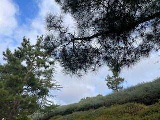 Being one with nature on a chilly, peaceful morning