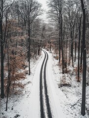 Obraz premium Winter Wonderland: Snowy Tree-lined Road
