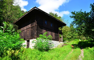 The Historical Meyveli Village Mosque, located in Findikli, Rize, Turkey, was built in the 19th century. It is made entirely of wood.