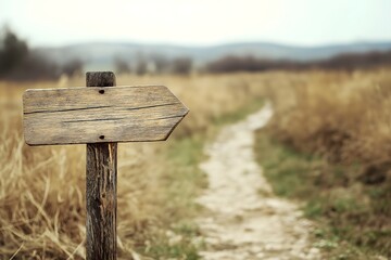 Naklejka premium Wooden Signpost Pointing Towards Different Beach Destinations, Blank Sign, Marketing Photo, Travel & Holiday Advertising, Website Advert Sign, Promotional Wood Sign Mockup