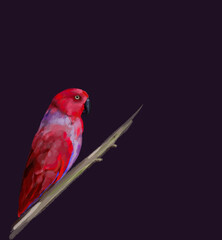 ИллюстрацStunning watercolor illustration of a vibrant red parrot, a lilac-breasted roller, and a majestic flamingo. Perfect for wildlife enthusiasts, tropical art lovers, and nature-inия без названия