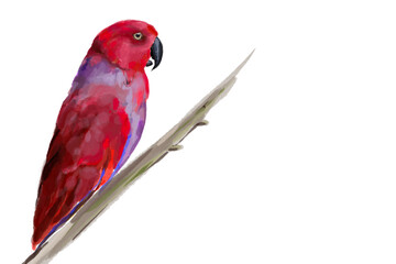 ИллюстрацStunning watercolor illustration of a vibrant red parrot, a lilac-breasted roller, and a majestic flamingo. Perfect for wildlife enthusiasts, tropical art lovers, and nature-inия без названия