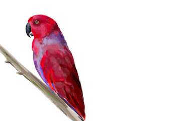 ИллюстрацStunning watercolor illustration of a vibrant red parrot, a lilac-breasted roller, and a majestic flamingo. Perfect for wildlife enthusiasts, tropical art lovers, and nature-inия без названия