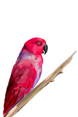 ИллюстрацStunning watercolor illustration of a vibrant red parrot, a lilac-breasted roller, and a majestic flamingo. Perfect for wildlife enthusiasts, tropical art lovers, and nature-inия без названия