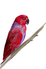 ИллюстрацStunning watercolor illustration of a vibrant red parrot, a lilac-breasted roller, and a majestic flamingo. Perfect for wildlife enthusiasts, tropical art lovers, and nature-inия без названия