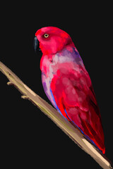 ИллюстрацStunning watercolor illustration of a vibrant red parrot, a lilac-breasted roller, and a majestic flamingo. Perfect for wildlife enthusiasts, tropical art lovers, and nature-inия без названия