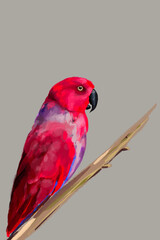 ИллюстрацStunning watercolor illustration of a vibrant red parrot, a lilac-breasted roller, and a majestic flamingo. Perfect for wildlife enthusiasts, tropical art lovers, and nature-inия без названия