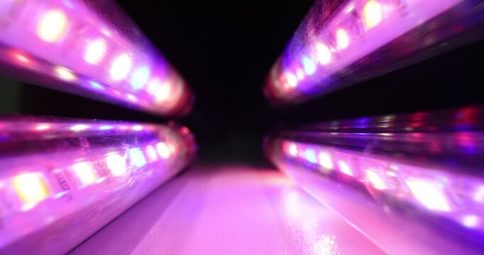 Lamp with ultraviolet light on a dark background