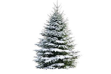 Obraz premium Snow-covered Christmas tree isolated on transparent background. perfect for holiday designs and winter-themed projects.