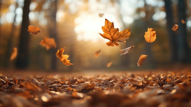 A serene autumn scene with golden leaves falling gently against a blurred forest backdrop and warm sunlight peeking through.