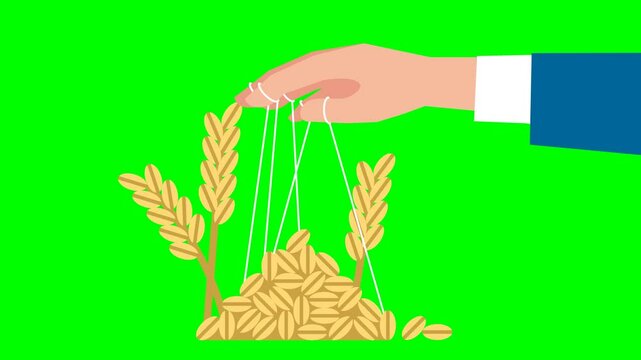 Concept of equal distribution of resources. Famine. Society's struggle against the manipulation of the food crisis. Protest. A politician uses grain to maintain power. 2d flat animation. Alpha channel