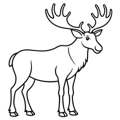 Moose standing tall with large, sprawling antlers and a calm stance vector