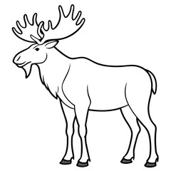 Obraz premium Moose standing tall with large, sprawling antlers and a calm stance vector