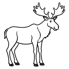 Fototapeta premium Moose standing tall with large, sprawling antlers and a calm stance vector