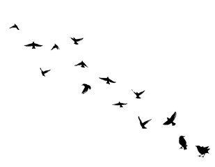 Flying birds silhouette flock. hand drawing. Not AI. Vector illustration