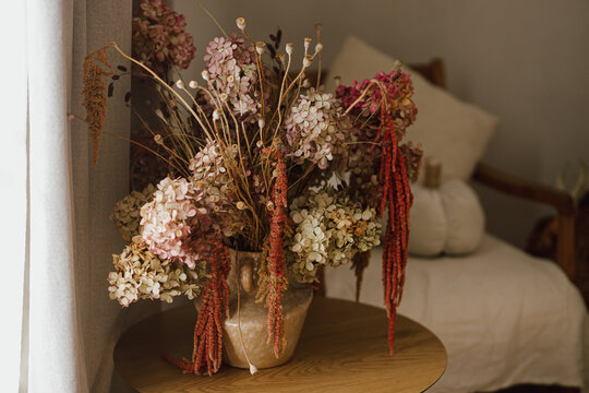 Dry hydrangea, poppy and amaranth in stylish vase close up. Fall decor in modern living room. Thanksgiving and Halloween. Autumn floral arrangement