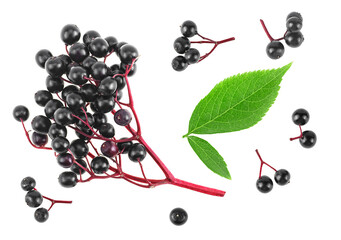 Fresh ripe berries of elder and green leaves isolated on a white background, top view. Healing berries of Sambucus.