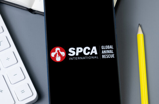 New York, USA - 30 August 2024: SPCA International Logo on Phone Screen, Company Icon on Display