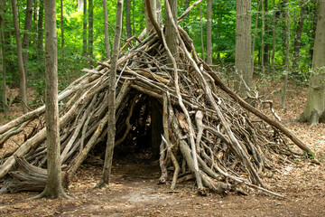 survival hut in the woods