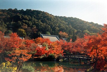 Kyoto Trip 2023