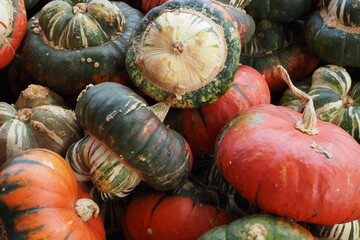 Pumpkins and gourds fro the fall harvest.