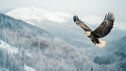 A majestic eagle soaring through a snowy sky with mountains and forests below covered in white.