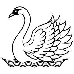 Swan gliding on water with detailed feather patterns and graceful lines vecto