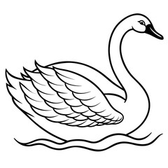 Obraz premium Swan gliding on water with detailed feather patterns and graceful lines vecto