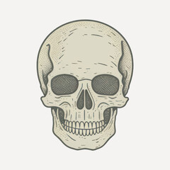 Vintage skull illustration art