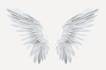 White angel wings on display © Rawpixel.com