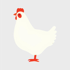 Simple white chicken illustration
