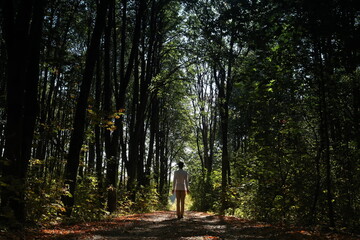 Small man in white shirt walk in the big green forest, beginning of the autumn 2024 year.