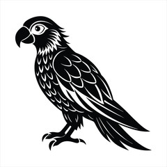 parrot silhouette vector