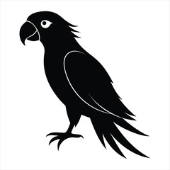 parrot silhouette vector