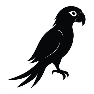recommend clip art: parrot silhouette vector