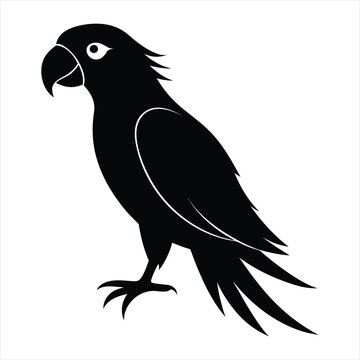 recommend clip art: parrot silhouette vector