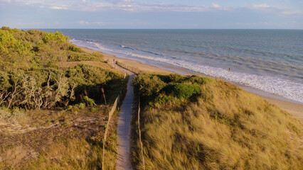 sand dunes and beach Ré island