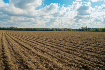 A vast, freshly plowed field stretching to the horizon under a partly cloudy sky, indicating readiness for planting and the beginning of a new agricultural season.