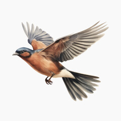 Obraz premium Graceful bird in flight